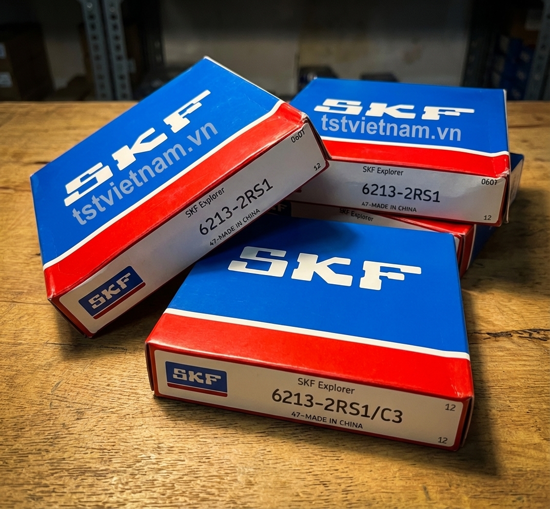 C&aacute;c loại v&ograve;ng bi SKF 6213