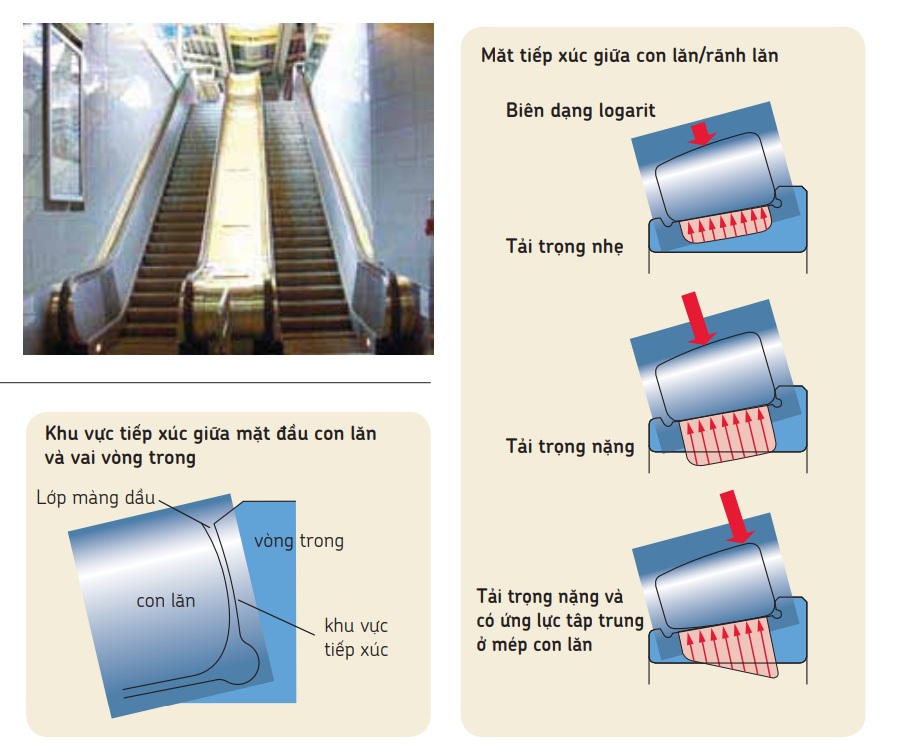 Biểu đồ chịu lực của các con lăn