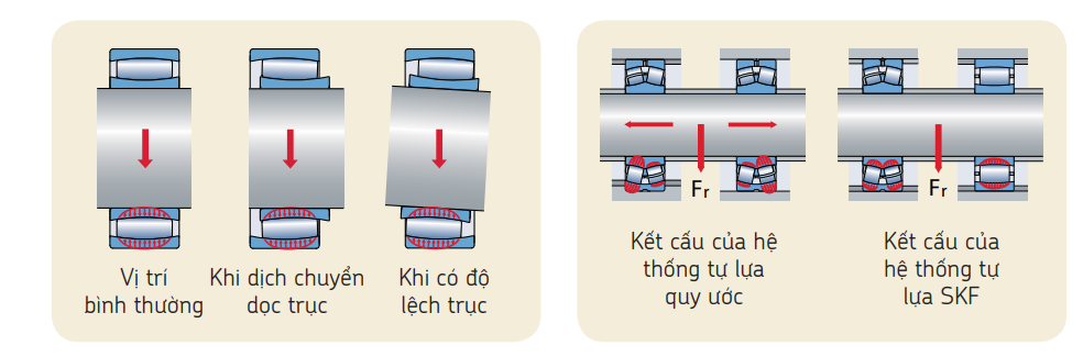 Phân bố lực trong vòng bi Card