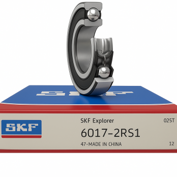 Vòng Bi SKF 6017-2RS1
