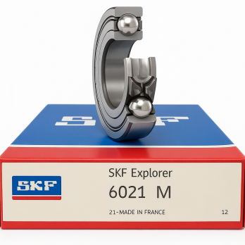 Vòng Bi SKF 6021 M