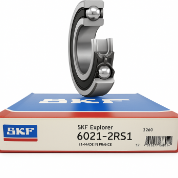 Vòng Bi SKF 6021-2RS1