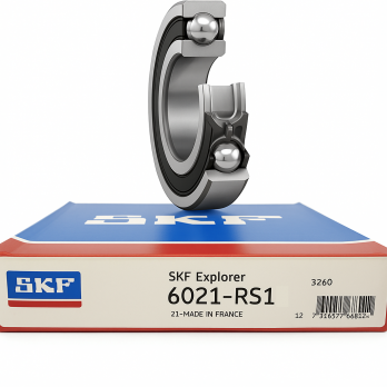 Vòng Bi SKF 6021-RS1