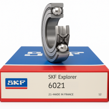 Vòng Bi SKF 6021