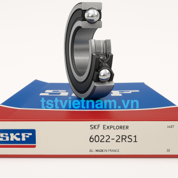 Vòng Bi SKF 6022-2RS1