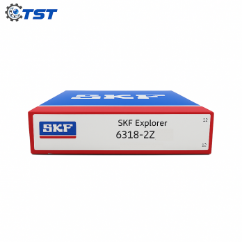Vòng Bi SKF 6318-2Z