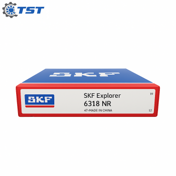 Vòng bi SKF 6318 NR